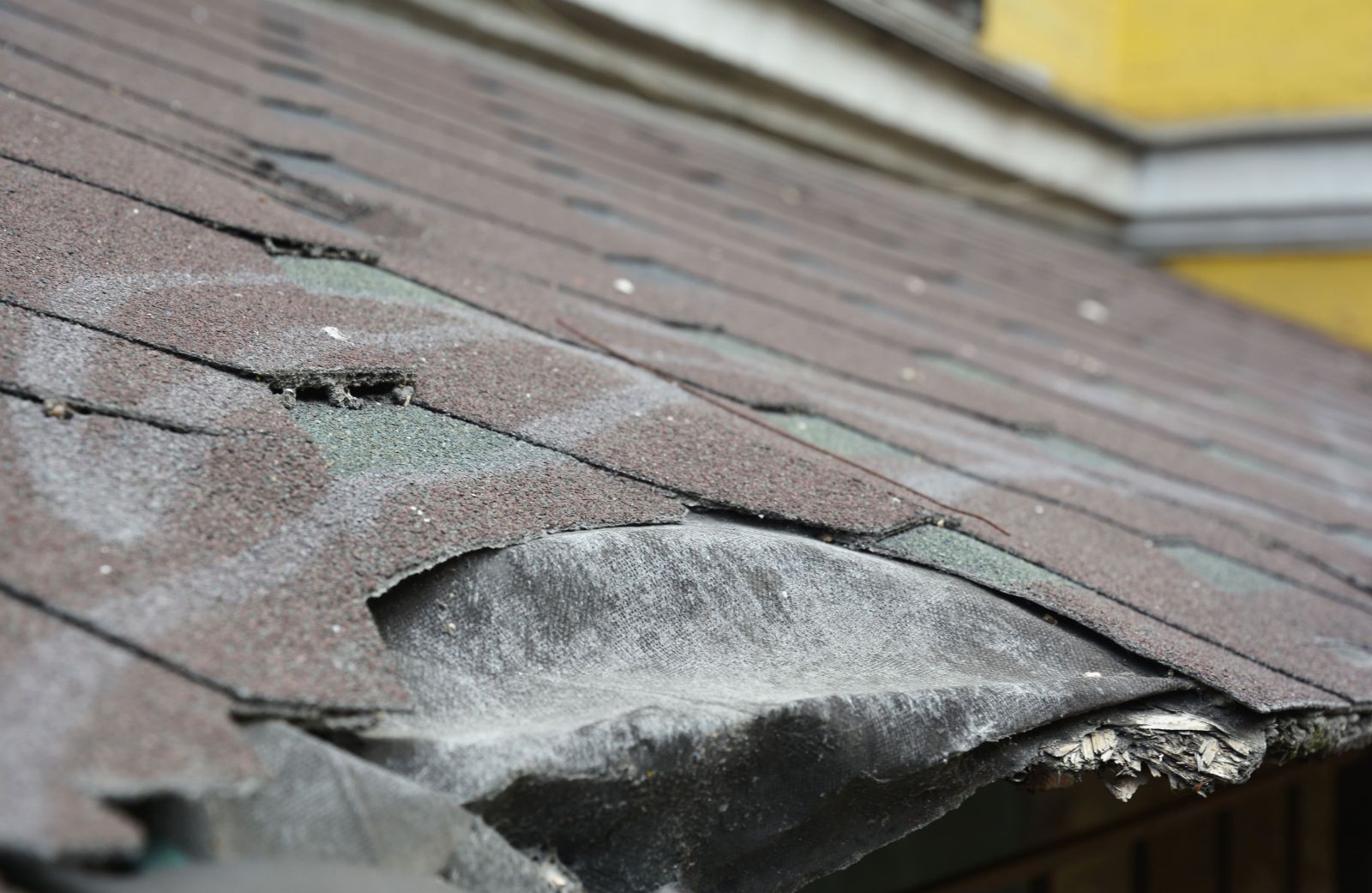 Quality Roofing and Siding LLC Images