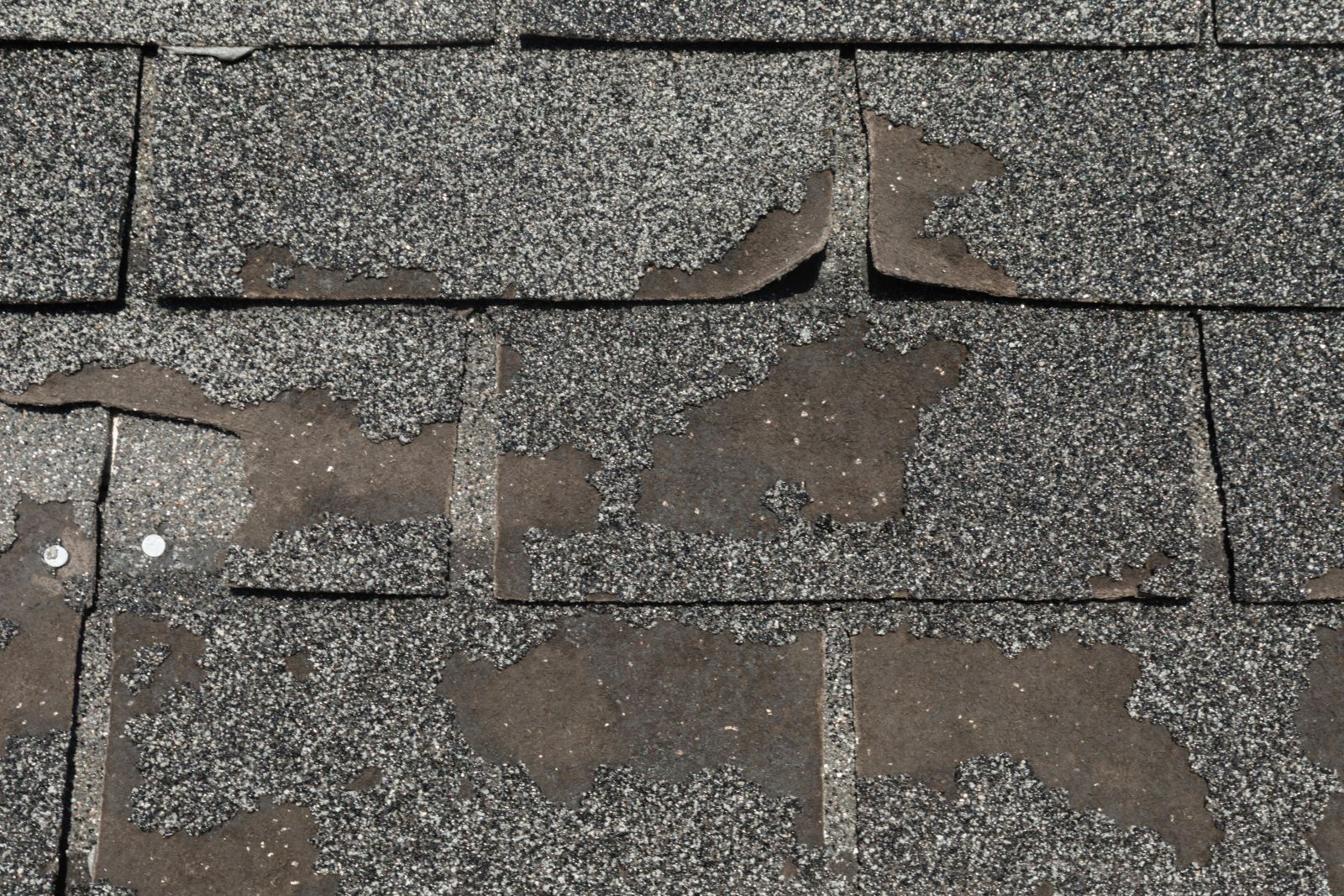 Quality Roofing and Siding LLC Images